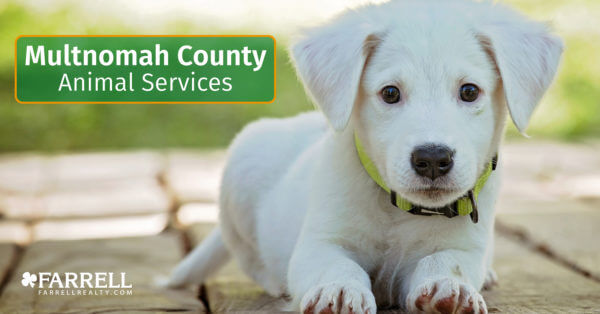 Multnomah County Animal Services